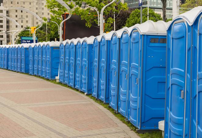 hygienic portable restrooms lined up at a music festival, providing comfort and convenience for attendees in Alorton IL